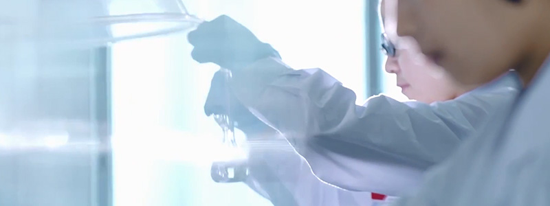 ��֮��(�й���) - �ٷ���վ